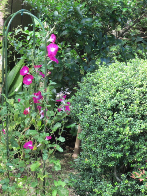 f:id:y77:20130908092131j:plain f:id:y77:20130908092131j:plain