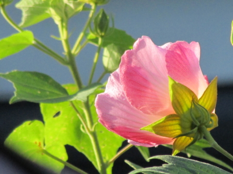 f:id:y77:20130918075647j:plain f:id:y77:20130918075647j:plain