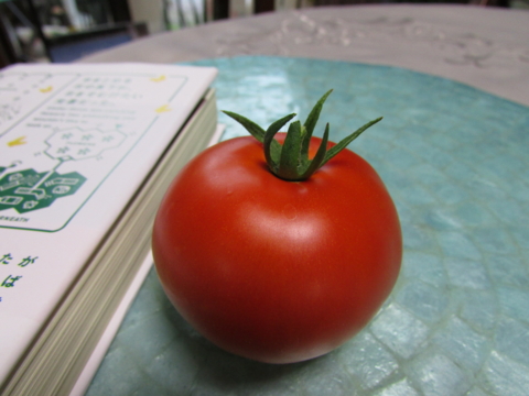 f:id:y77:20140701192500j:plain f:id:y77:20140701192500j:plain