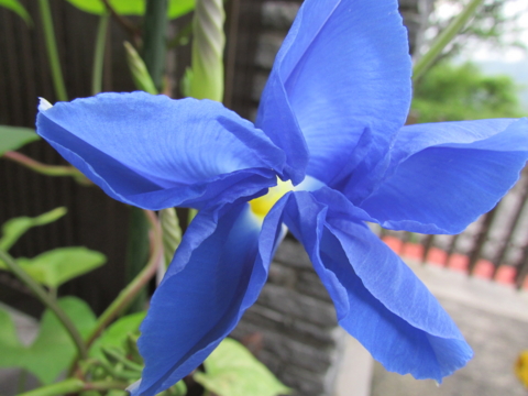 f:id:y77:20140714113854j:plain f:id:y77:20140714113854j:plain