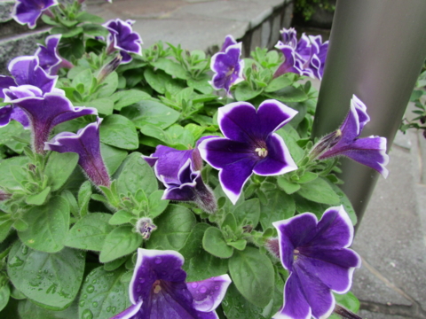 f:id:y77:20140714113942j:plain f:id:y77:20140714113942j:plain