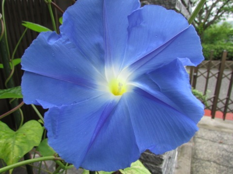 f:id:y77:20140714123618j:plain f:id:y77:20140714123618j:plain