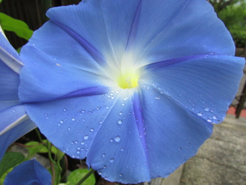 f:id:y77:20140714123849j:plain f:id:y77:20140714123849j:plain