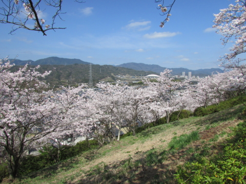 f:id:y77:20150402145007j:plain f:id:y77:20150402145007j:plain