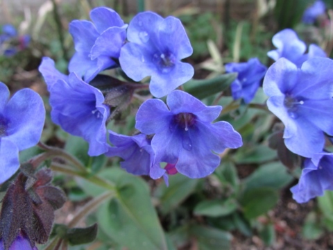 f:id:y77:20150402145615j:plain f:id:y77:20150402145615j:plain