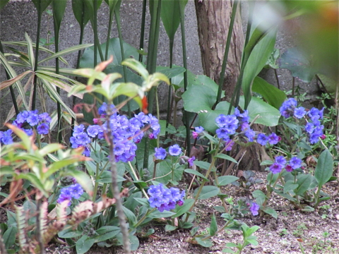 f:id:y77:20150402145618j:plain f:id:y77:20150402145618j:plain