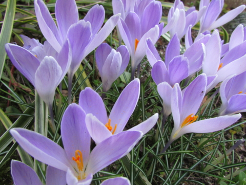 f:id:y77:20150402155523j:plain f:id:y77:20150402155523j:plain