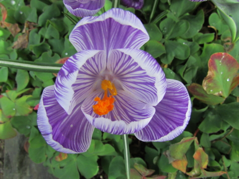 f:id:y77:20150402155528j:plain f:id:y77:20150402155528j:plain
