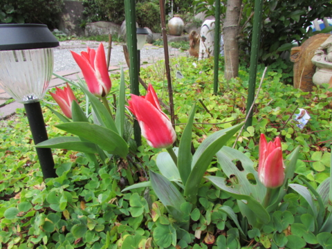 f:id:y77:20150402155534j:plain f:id:y77:20150402155534j:plain
