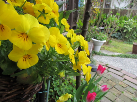f:id:y77:20150402155535j:plain f:id:y77:20150402155535j:plain