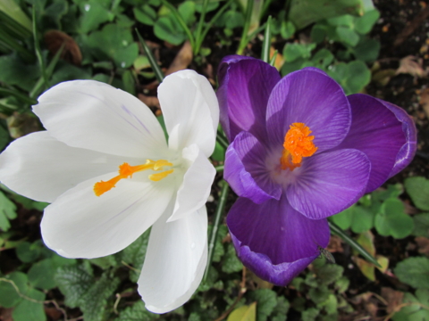 f:id:y77:20150402160759j:plain f:id:y77:20150402160759j:plain