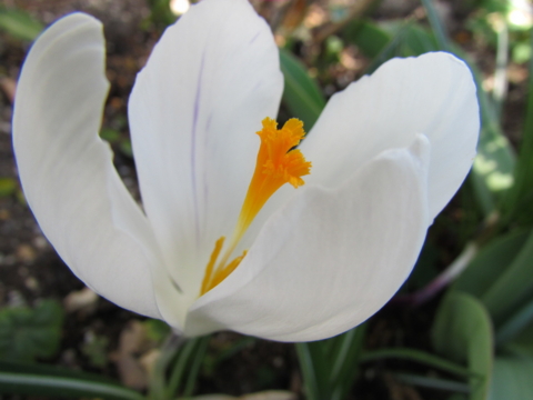 f:id:y77:20150402160943j:plain f:id:y77:20150402160943j:plain