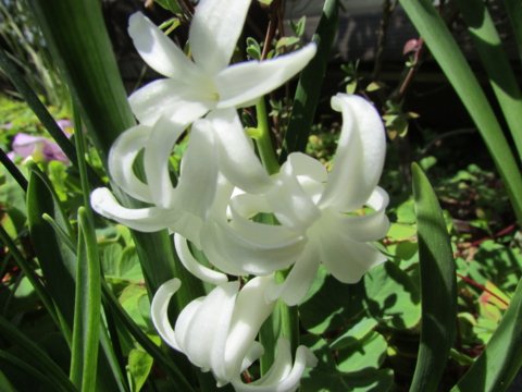 f:id:y77:20150402161031j:plain f:id:y77:20150402161031j:plain