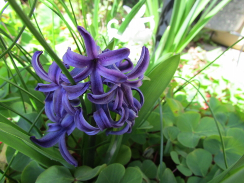 f:id:y77:20150402161156j:plain f:id:y77:20150402161156j:plain