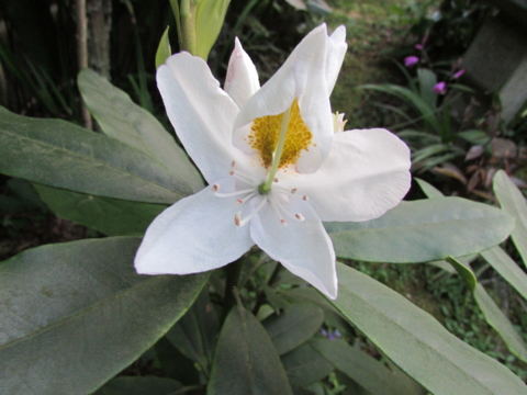f:id:y77:20150507213919j:plain f:id:y77:20150507213919j:plain