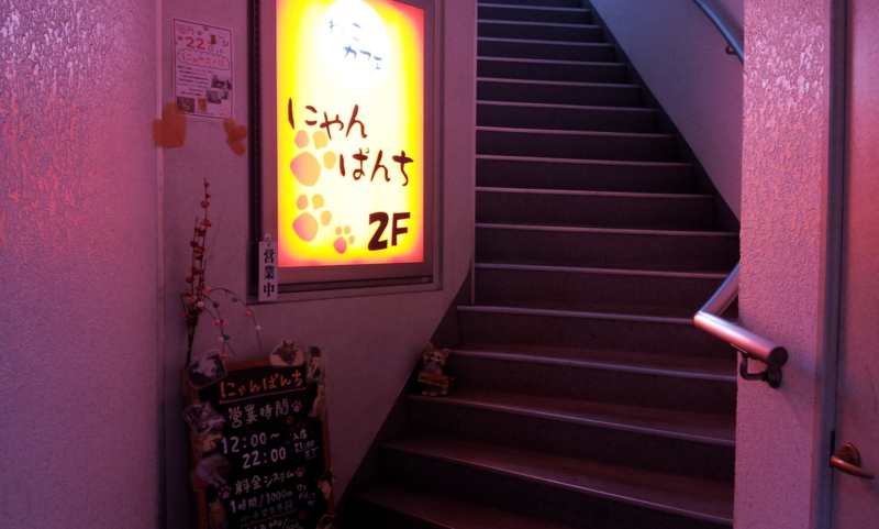 f:id:yPhonist:20120121165642j:image f:id:yPhonist:20120121165642j:image