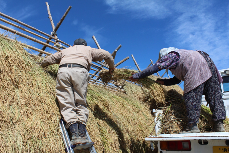 f:id:y_hamada:20131003105959j:plain