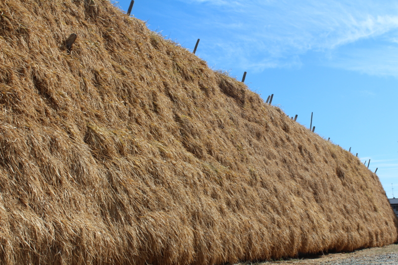 f:id:y_hamada:20131003111319j:plain