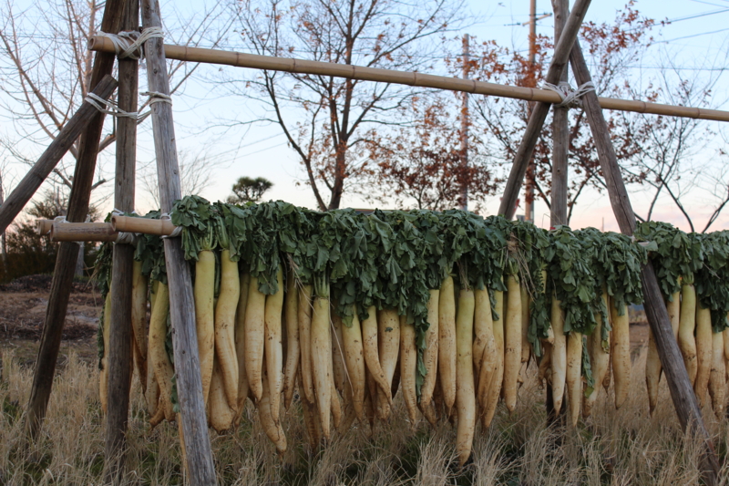 f:id:y_hamada:20131228162644j:plain