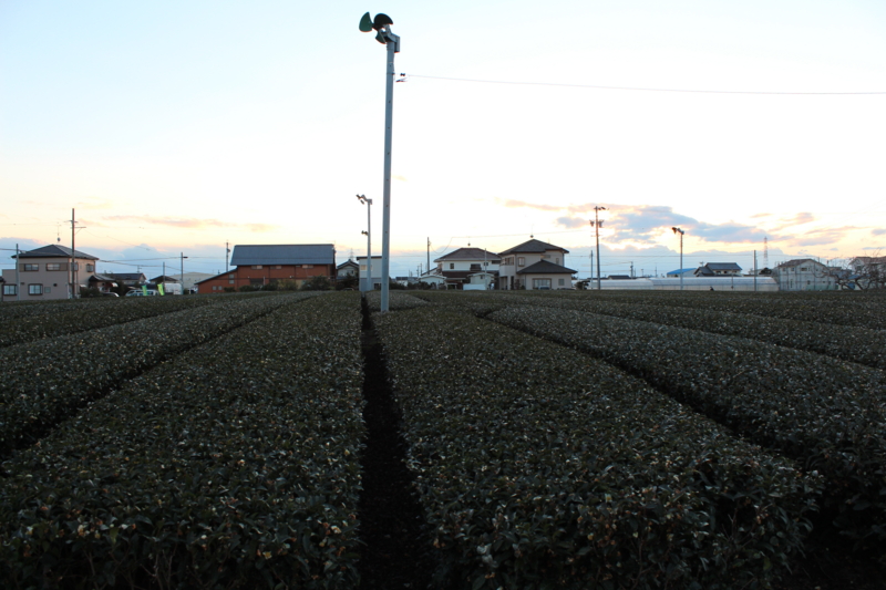 f:id:y_hamada:20131228163313j:plain