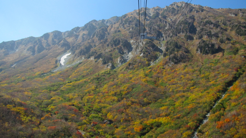 f:id:y_hamada:20141011124932j:plain