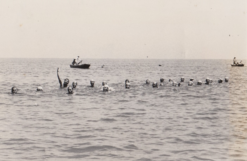 f:id:y_hamada:20141231174936j:plain