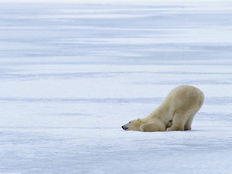 f:id:y_sequi:20120609142457j:image f:id:y_sequi:20120609142457j:image