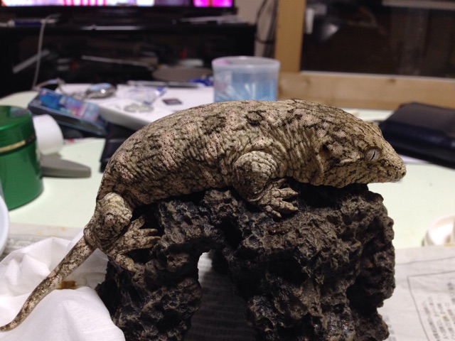 f:id:yagame:20141222120020j:plain f:id:yagame:20141222120020j:plain