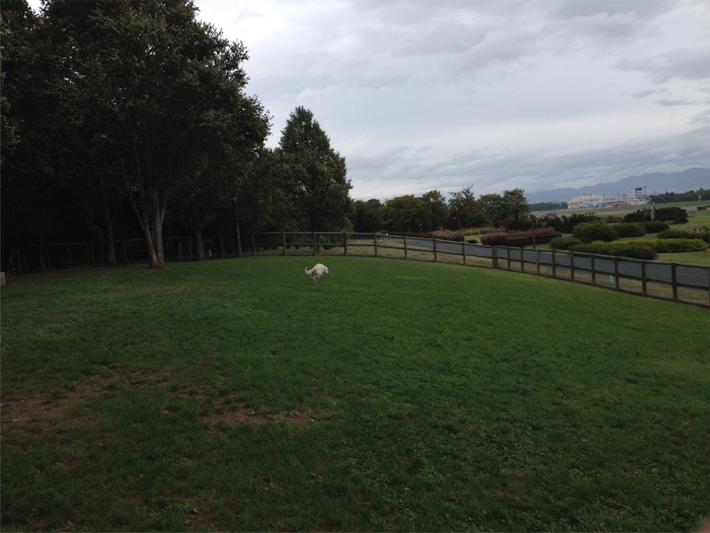 f:id:yagame:20151005225920j:image f:id:yagame:20151005225920j:image