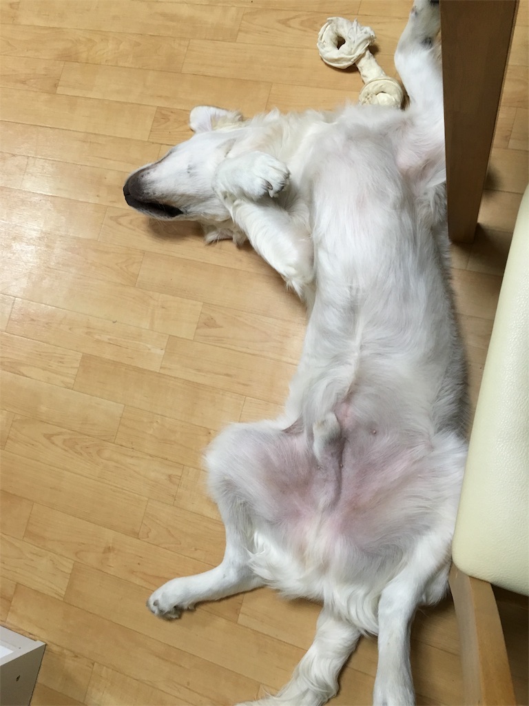 f:id:yagame:20151120214557j:image f:id:yagame:20151120214557j:image