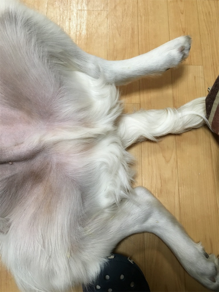 f:id:yagame:20151120214615j:image f:id:yagame:20151120214615j:image