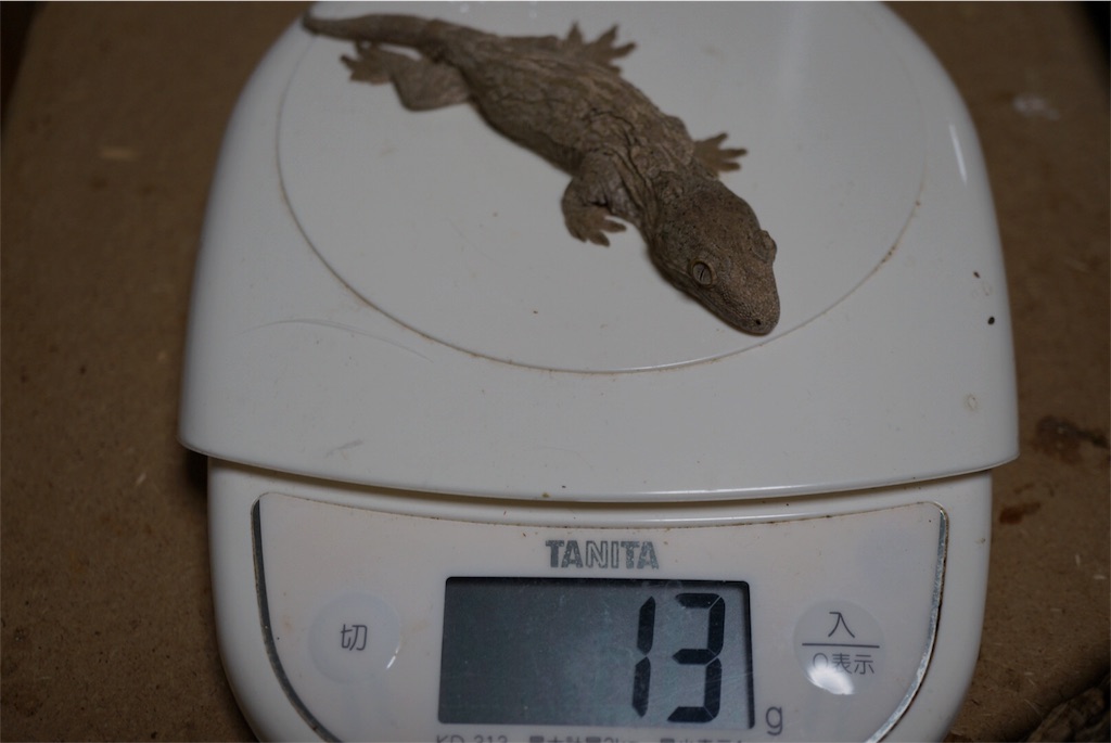 f:id:yagame:20151121235550j:image f:id:yagame:20151121235550j:image