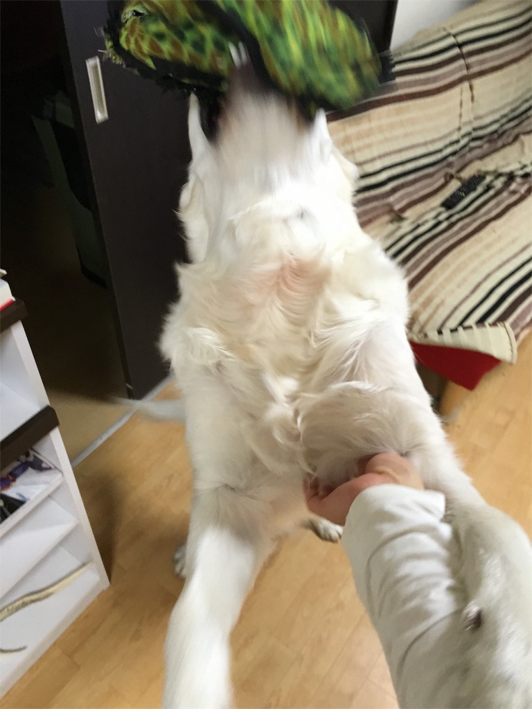 f:id:yagame:20151216231735j:image f:id:yagame:20151216231735j:image