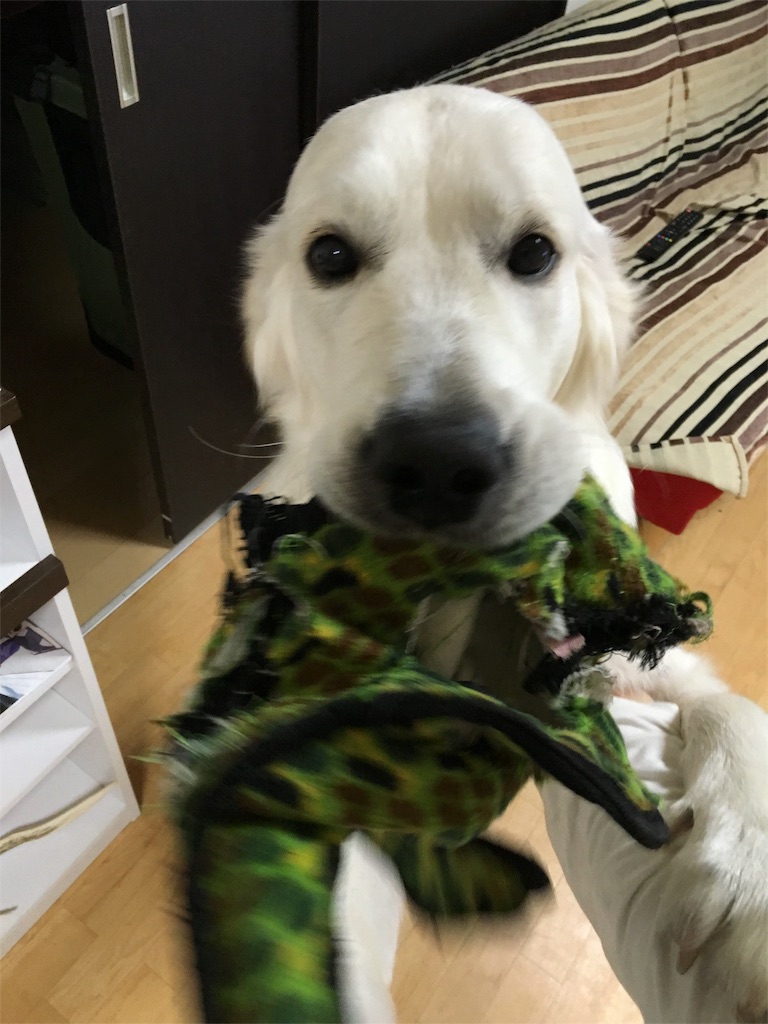 f:id:yagame:20151216231747j:image f:id:yagame:20151216231747j:image