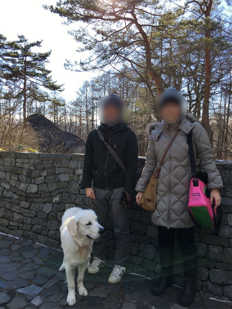 f:id:yagame:20151220223758p:image f:id:yagame:20151220223758p:image