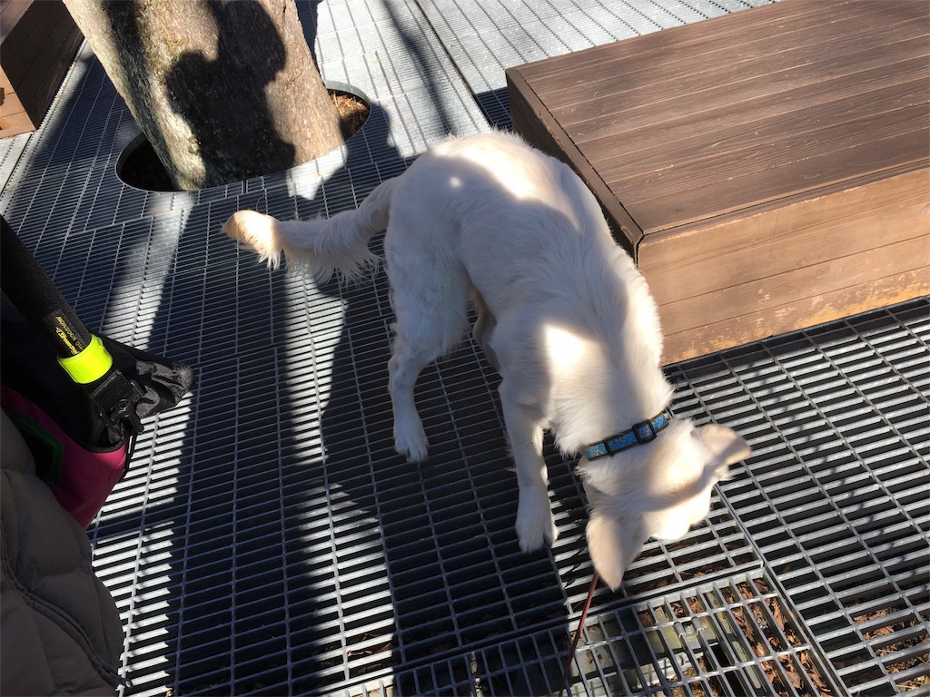 f:id:yagame:20151220223955j:image f:id:yagame:20151220223955j:image