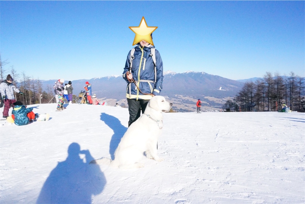 f:id:yagame:20160103000402j:image f:id:yagame:20160103000402j:image