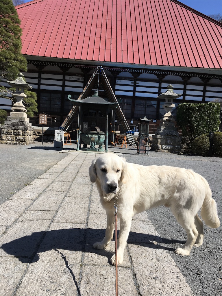 f:id:yagame:20160327120458j:image f:id:yagame:20160327120458j:image