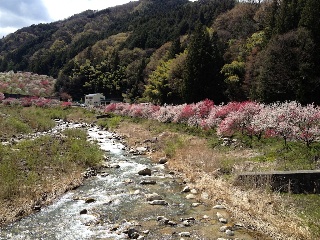 f:id:yagame:20160411231235j:image f:id:yagame:20160411231235j:image
