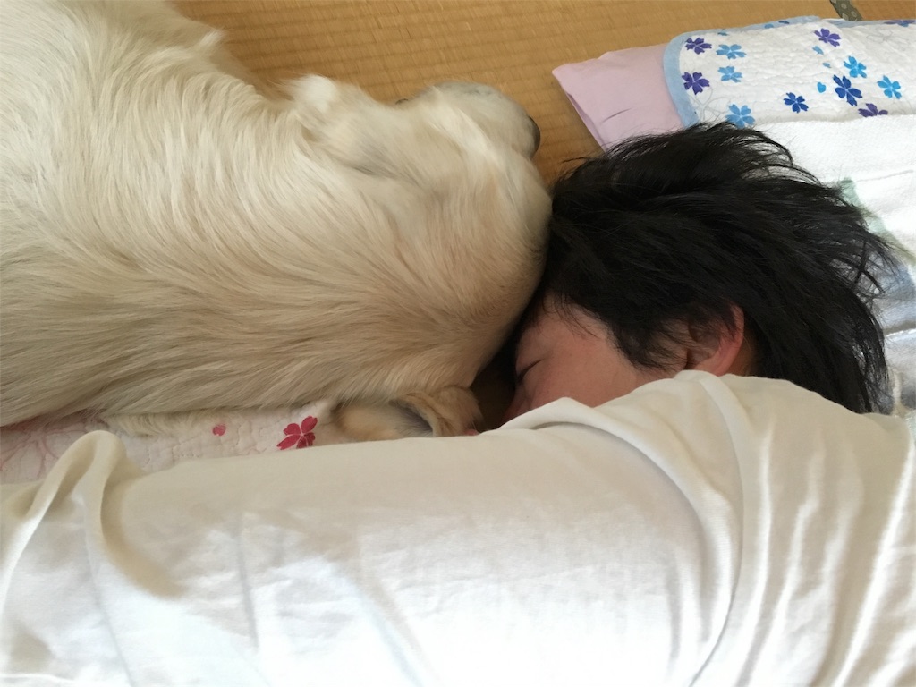 f:id:yagame:20160505001158j:image f:id:yagame:20160505001158j:image