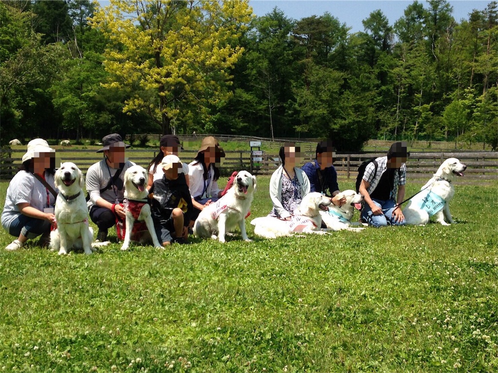 f:id:yagame:20160528153919j:image f:id:yagame:20160528153919j:image