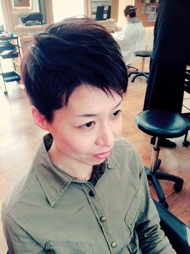 f:id:yagikatsuji:20151229191948j:plain f:id:yagikatsuji:20151229191948j:plain