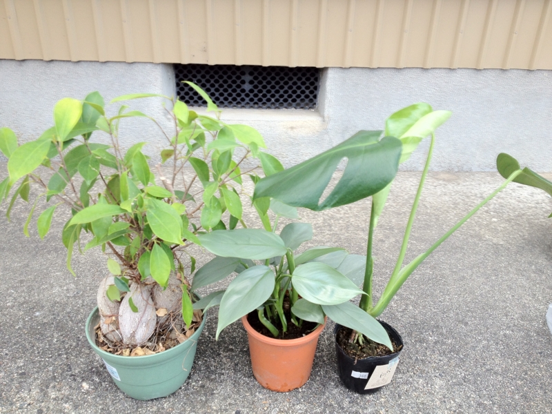 f:id:yahiho:20120902161456j:plain