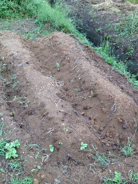 f:id:yahiho:20120923105905j:plain f:id:yahiho:20120923105905j:plain