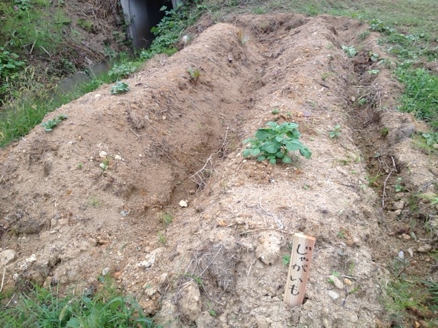 f:id:yahiho:20121006125444j:plain f:id:yahiho:20121006125444j:plain