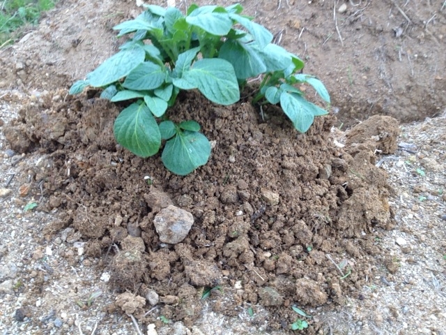 f:id:yahiho:20121006161957j:plain f:id:yahiho:20121006161957j:plain