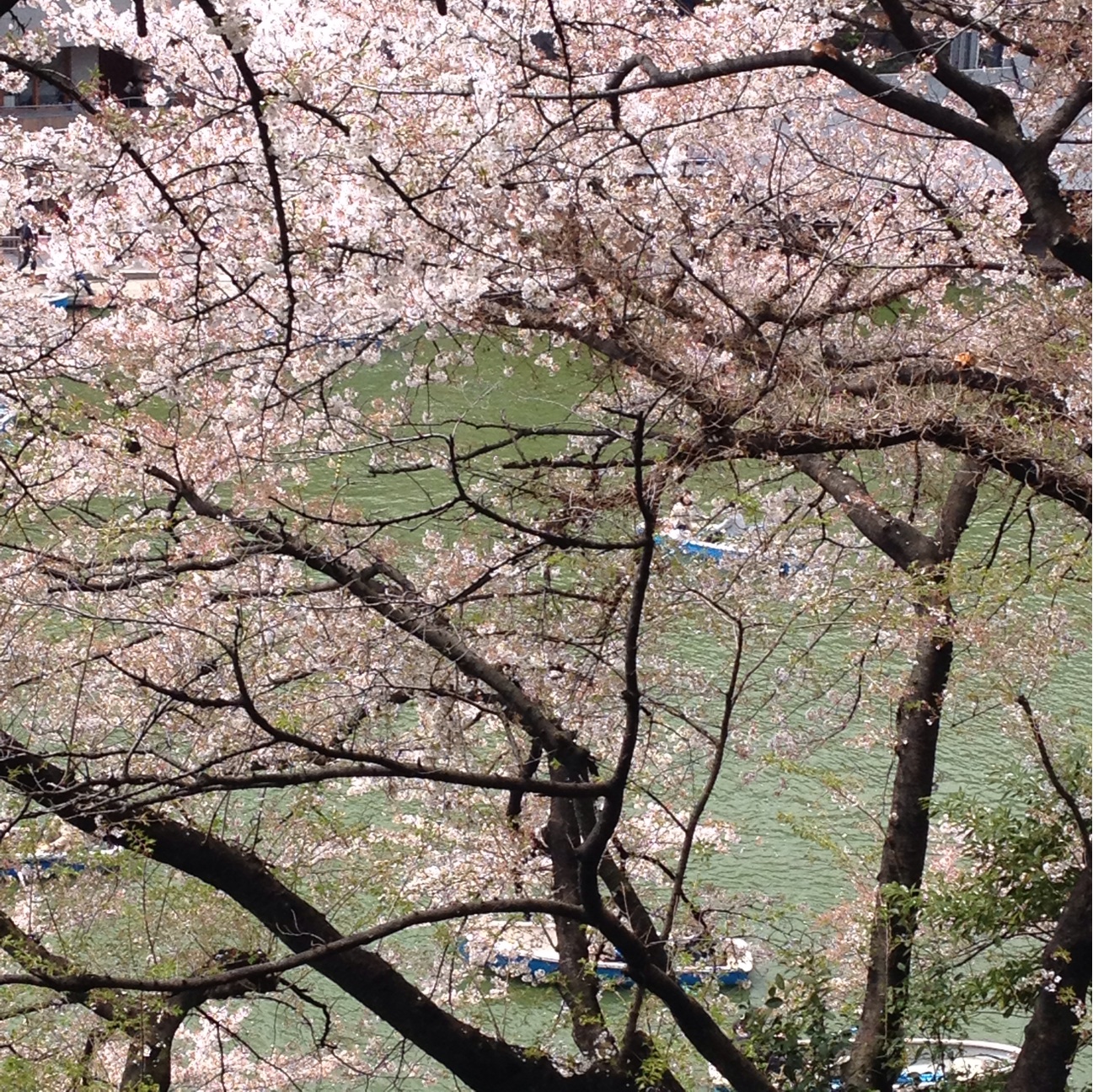 f:id:yakigashi-magoto:20140406184409j:plain f:id:yakigashi-magoto:20140406184409j:plain
