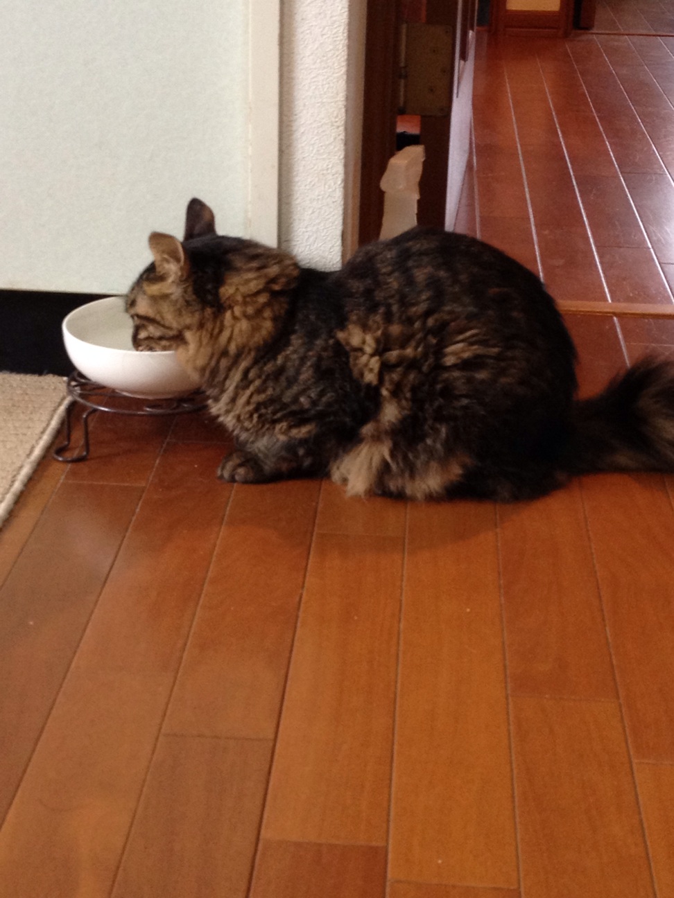 f:id:yakigashi-magoto:20140911222539j:plain f:id:yakigashi-magoto:20140911222539j:plain