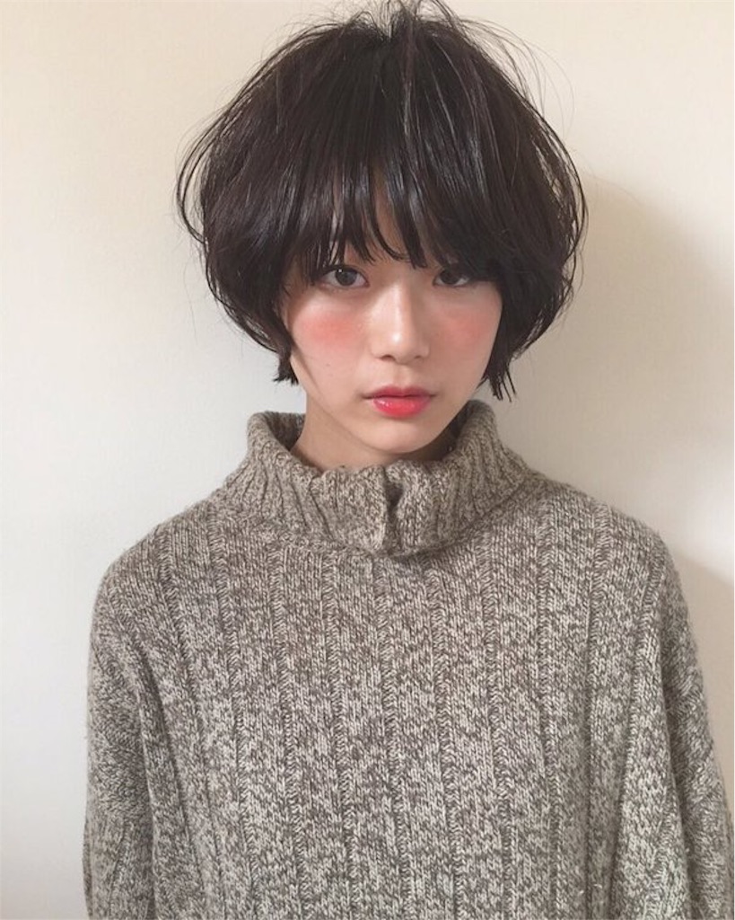 f:id:yakiniku_niku:20151126143823j:image f:id:yakiniku_niku:20151126143823j:image