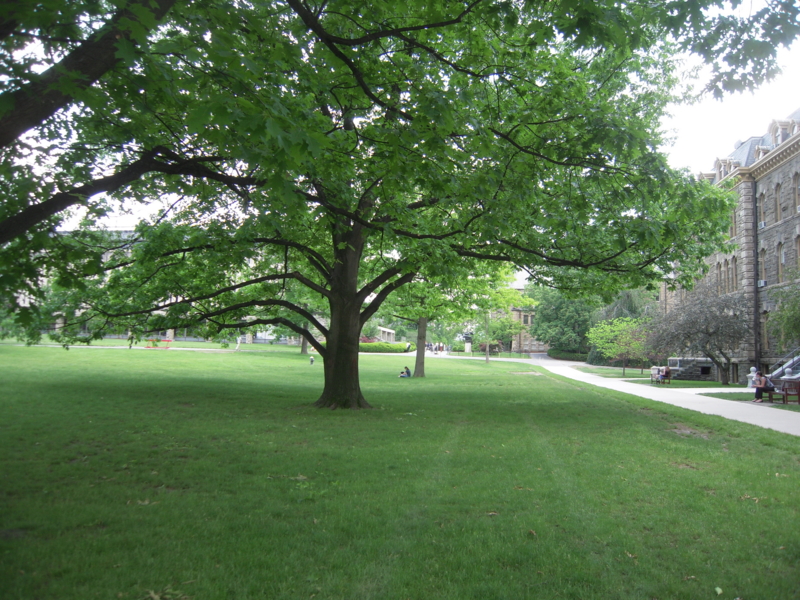 f:id:yakusunohawatashi:20130530005309j:image:w440